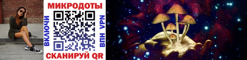 OMG как зайти  мориарти наркотические препараты  Псилоцибиновые грибы MAGIC MUSHROOMS  Новосибирск 