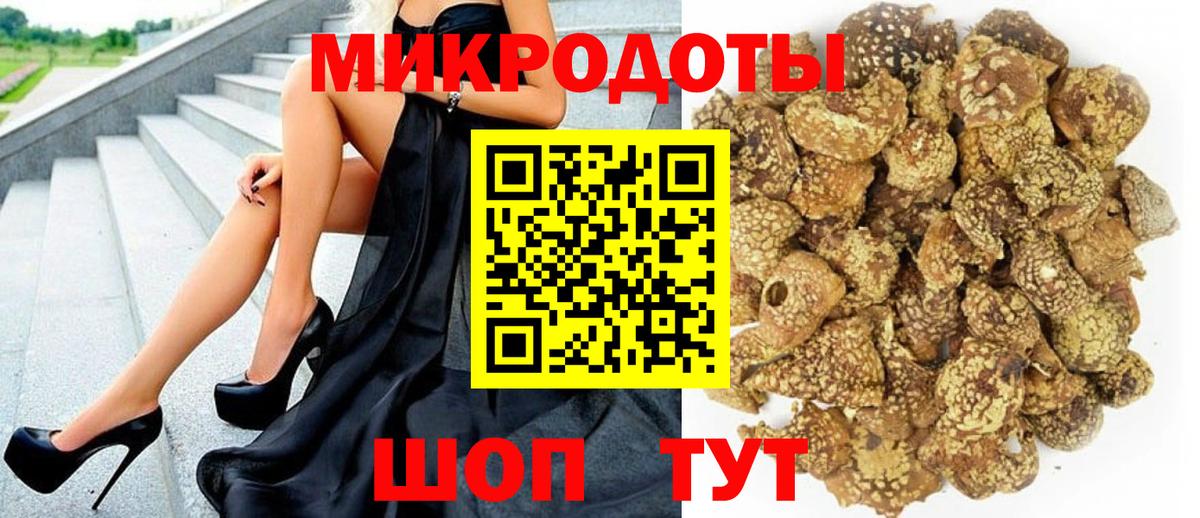 Галлюциногенные грибы GOLDEN TEACHER  как найти закладки  Новосибирск  Вход с VPN  Псилоцибиновые грибы GOLDEN TEACHER 