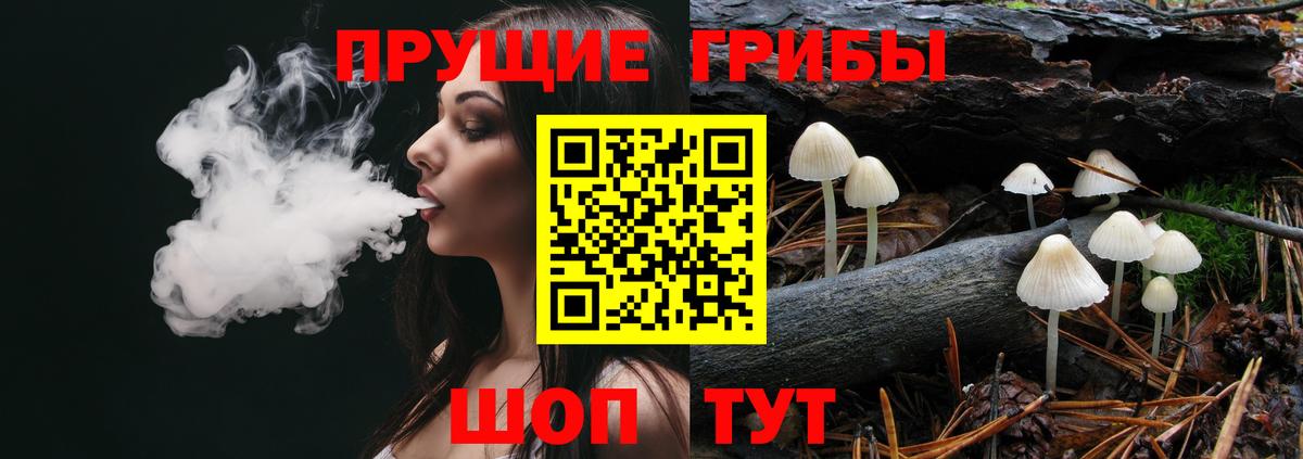 Галлюциногенные грибы мухоморы Новосибирск